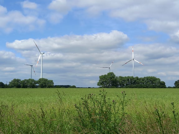 Windpark im Grünen