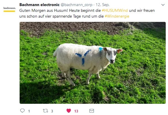 Tweet mit Bild von Schaaf